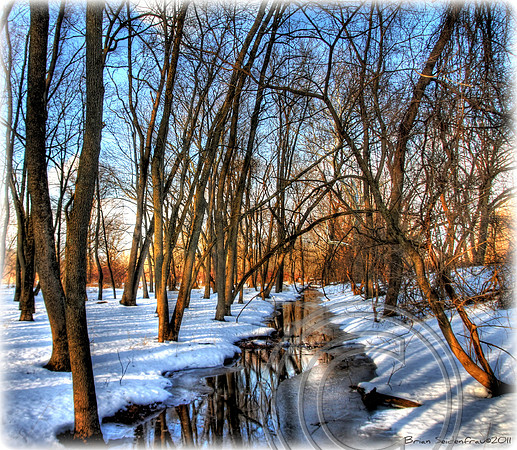 Winter Brook