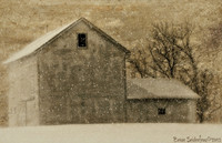 Fine Art Photos