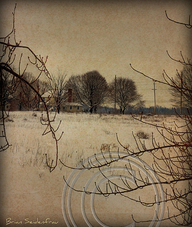 Winter Farm