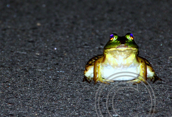 original
